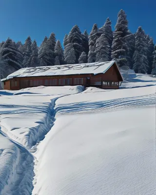 Roseland Cottage , Gulmarg Hotels in Gulmarg