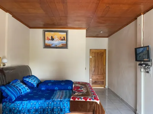 Anna’S Hotels in Tomok