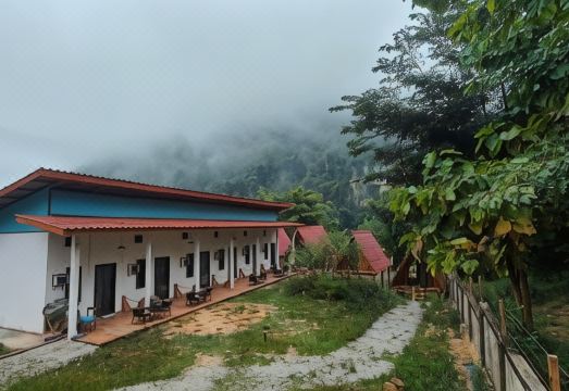 미모사 인 농키아우 썸네일