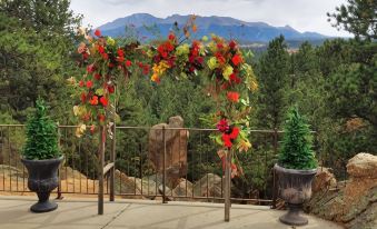 Pikes Peak Paradise Bed and Breakfast