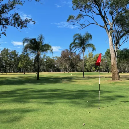 Chinchilla White Gums Motor Inn