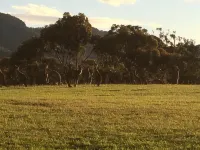 Grapevines Boutique Accommodation Hotel a Pokolbin