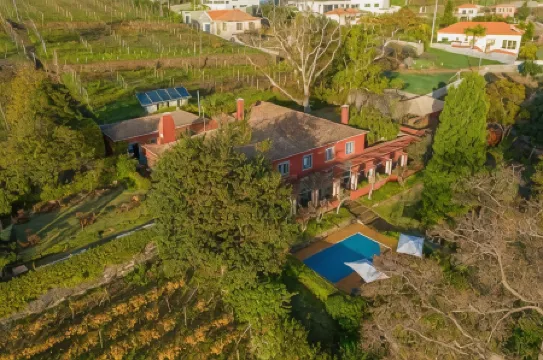 Quinta Das Vinhas