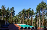 Pena Park Hotel - piscina