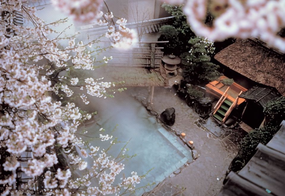 Yumura Onsen Asanoya Ryokan Over view