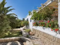 Poseidon Blue Gastronomy Hotel Hotels in Karpathos