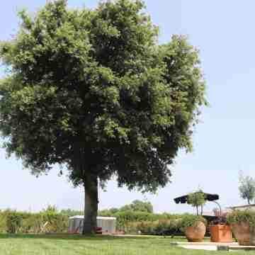 Love & Fama Hotel Hotel Exterior