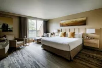 Forest Park Hotel