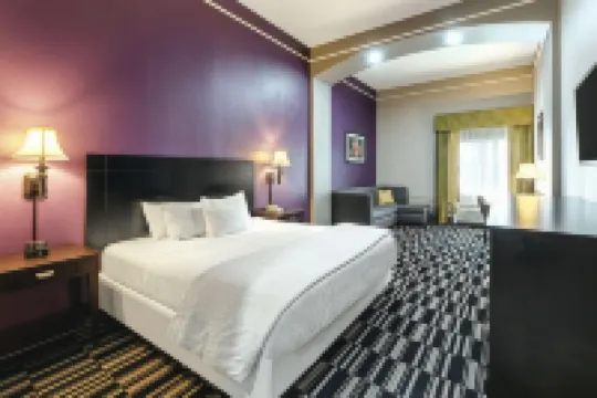 La Quinta Inn & Suites by Wyndham Alamo - McAllen East