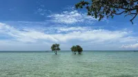 Microtel by Wyndham Puerto Princesa - Ocean View