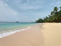 레지덴셜 브리가다