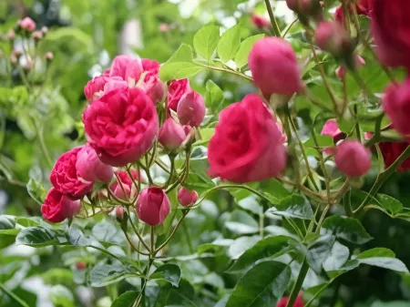 Pension Humpty Dumpty Отели рядом с достопримечательностью «Kirifuri highland»