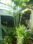 Cahaya Purnama Guest House Syariah Hotels in Mendawai