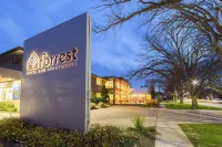 Forrest Hotel & Apartments - 3 Yıldız