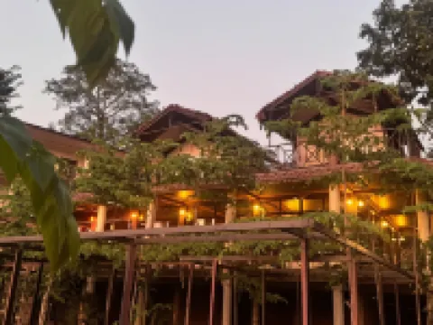 Jungle Wildlife Camp Hotels in Sauraha