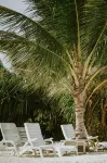 Dhiffushi Inn