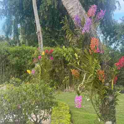 Punta Aguila Spectacular 4 Bdr / 6 Bath Free Golf Cart  Chef and Waiter Included Hotel Exterior