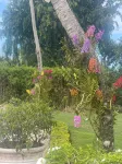 Punta Aguila Spectacular 4 Bdr / 6 Bath Free Golf Cart  Chef and Waiter Included Hoteles en 