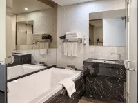 SOTETSU HOTELS THE SPLAISIR SEOUL MYEONG-DONG Hotels near Friend Mart