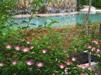 Rio Perdido Hotel & Thermal River - Swimmingpools