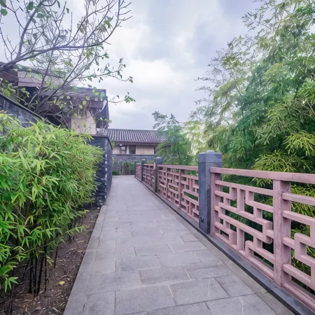 Mount Emei View Hot Spring Soup House