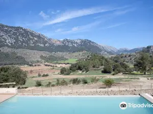 Finca Hotel Son Palou