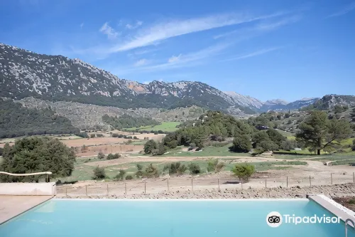 Finca Hotel Son Palou - parking