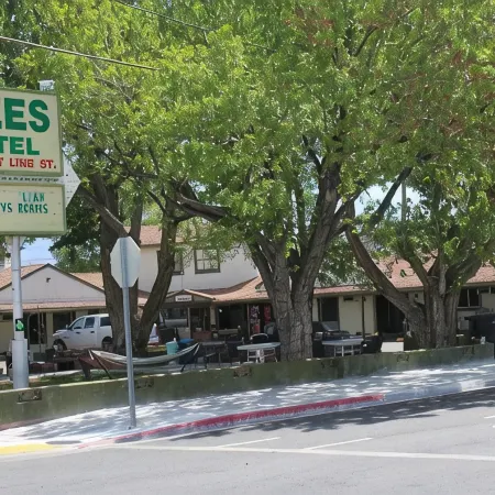 Trees Motel