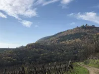 La Petite Cigogne Résidence du Rempart