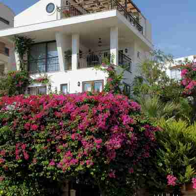 Luxury Villa, Private Pool, Beautiful Gardens, Stunning Sea & Mountain Views Hotel Exterior