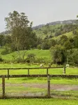 Little Farmhouse Near The Dairy