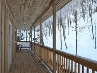 Cozy River front cabin w/Private natural spring. Pet Friendly! Hotels in Powell County