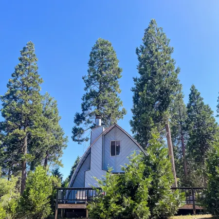 Meadow Lakes Cottage Yosemite & Kings Canyon Parks Gourmet Kitchen Close to Snow