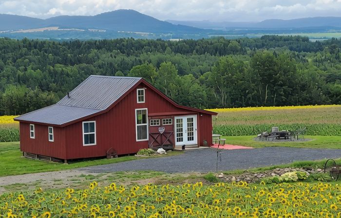 Mountain View Cabins #2