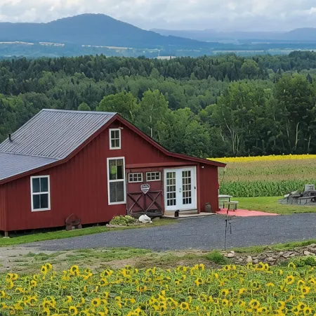 Mountain View Cabins #2