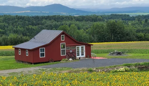 Mountain View Cabins #2