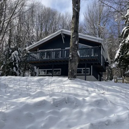 Cozy ski chalet - w/ Assoc amenities. 10 mins from Mount Snow