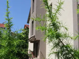 Forest Apartments