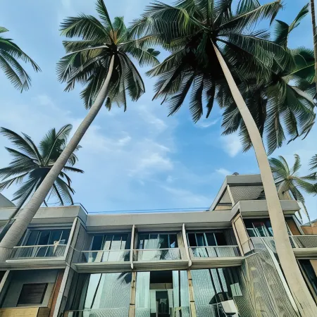 Adiques's Resorts