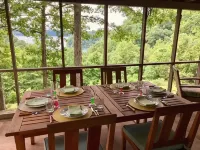 絕美景觀，距Pleasant Hill坡道1英里，配雙露台及紗網門廊的木屋 - 小木屋