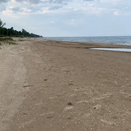 Lake Huron access wooded 2-bedroom cottage with WiFi in charming Oscoda