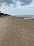 Lake Huron access wooded 2-bedroom cottage with WiFi in charming Oscoda -  Habitaciones en casas particulares