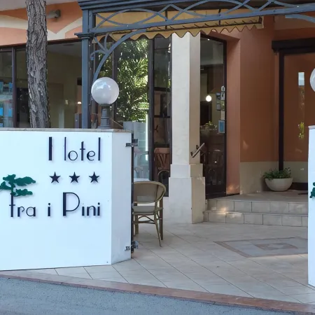 Hotel FRA I Pini