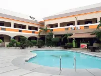 La Maja Rica Hotel - Pool