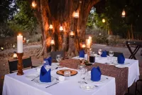 Bandhavgarh Meadows - Frühstück