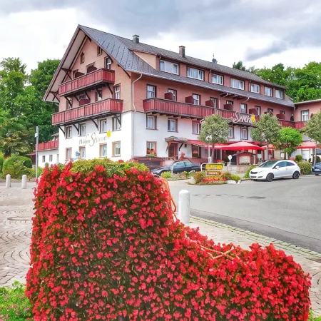 Wochner's Hotel-Sternen am Schluchsee Hochschwarzwald