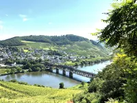 Holiday Apartment Wellness & Wandern in Holiday Home Bad Bertrich - Wifi