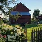 The Farmhouse at Aurora Brewing Company! Vineyard & Lake Views! - 4-Star