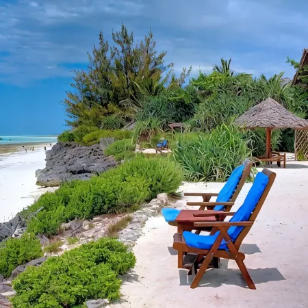 The Zanzibari