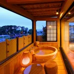 Toi Fujiya Hotel - Suối nước nóng